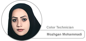 Mozhgan Mohammadi, Erfan International Tile Company color technician