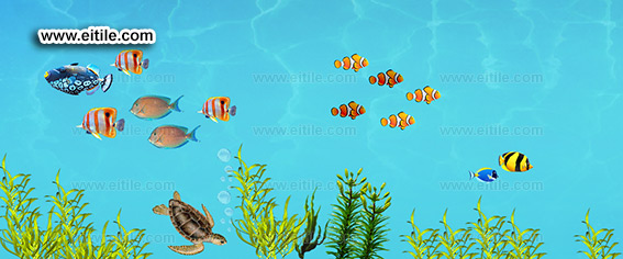 Swimming pool ceramic, www.eitile.com
